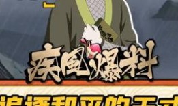 火影折包爆料在哪看啊视频,揭秘精彩内容