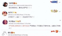 打架视频最新爆料软件,打架视频软件揭秘，真相令人震惊！